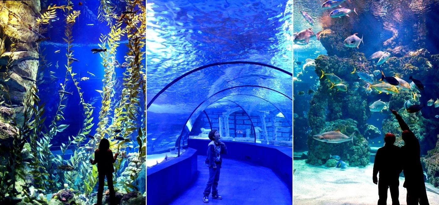 Alanya'dan Antalya Şehir Turu : Kaleiçi, Aquarium ve Şelale Ziyareti - 6