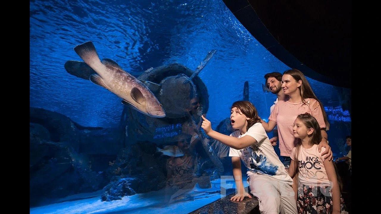 Alanya'dan Antalya Şehir Turu : Kaleiçi, Aquarium ve Şelale Ziyareti - 9